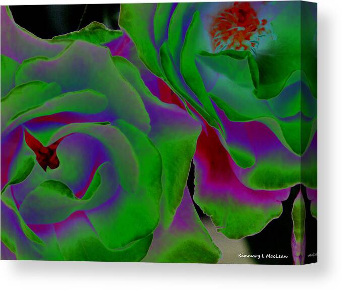 Botanical Canvas Print featuring the photograph Gentle Camelias by Kimmary MacLean