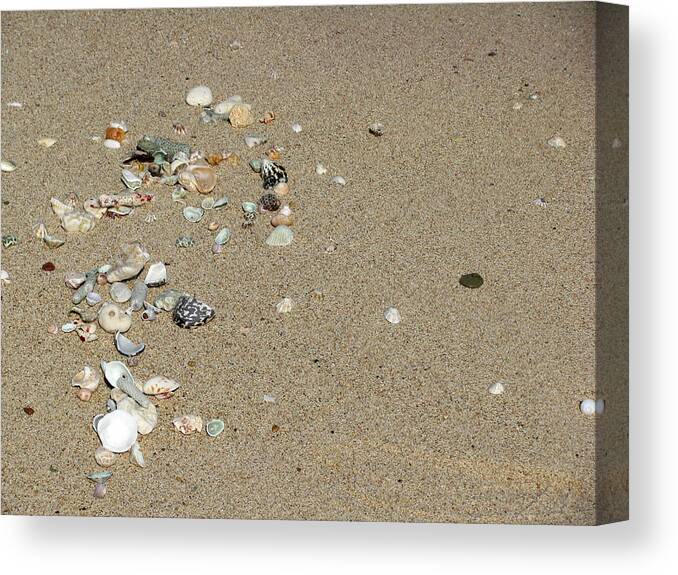 Sapphire Beach Canvas Print featuring the photograph Gifts From The Ocean 06 by Pamela Critchlow
