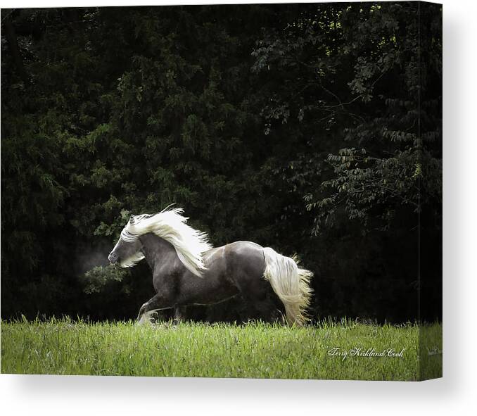 Equine Canvas Print featuring the photograph Glorious Silver Reign by Terry Kirkland Cook