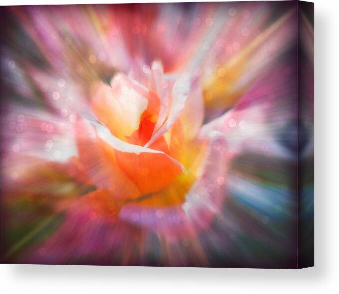 Rose Canvas Print featuring the digital art Glowing Rose fantasy 1 by Lilia S