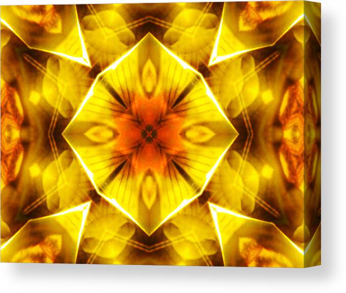 Gold Canvas Print featuring the photograph Golden Harmony - 3 by Shawna Rowe