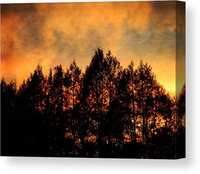 Bristol Canvas Print featuring the photograph Golden Hours by Denise Beverly