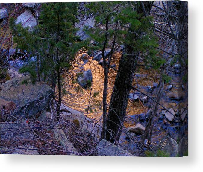 Golden Pond Creek Nature Reflection Sunset Colorado Rocky Mountains Water Canvas Print featuring the photograph Golden pond by George Tuffy