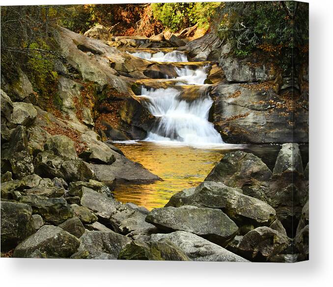Cashiers Canvas Print featuring the photograph Golden Pond by Penny Lisowski