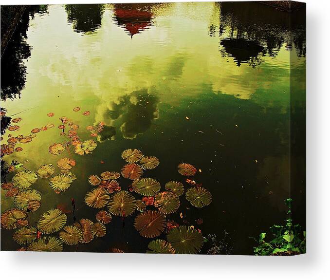 Pond Canvas Print featuring the photograph Golden Pond by Yen