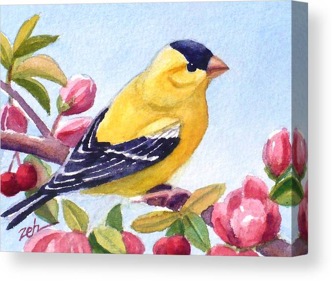 Goldfinch Bird Print Canvas Print featuring the painting Goldfinch in a Crab Apple Tree by Janet Zeh