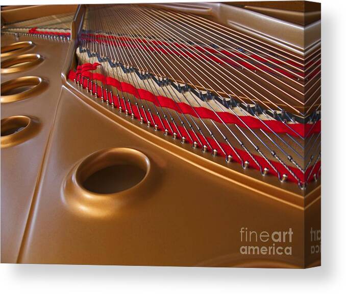 Piano Canvas Print featuring the photograph Grand Piano by Ann Horn
