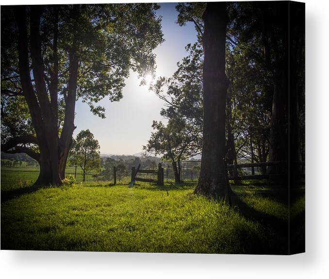 Green Canvas Print featuring the photograph Grass is Greener by Kaleidoscopik Photography