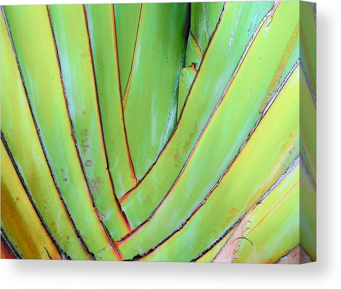 Floral Canvas Print featuring the photograph Green by Strangefire Art    Scylla Liscombe