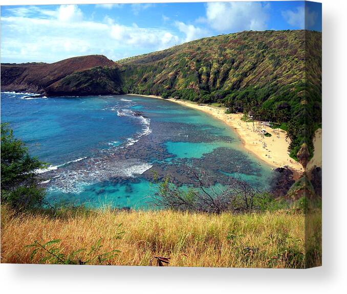 Hawaii Canvas Print featuring the photograph Hanauma Bay by Phillip Garcia