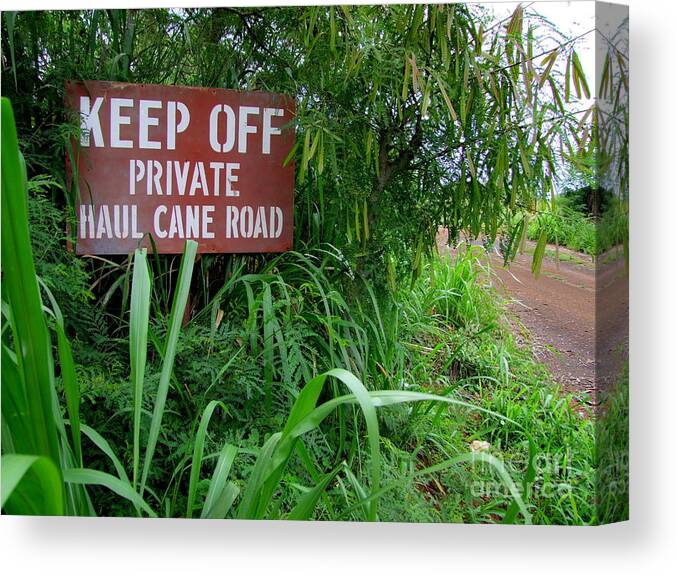 Mary Deal Canvas Print featuring the photograph Haul Cane Road by Mary Deal