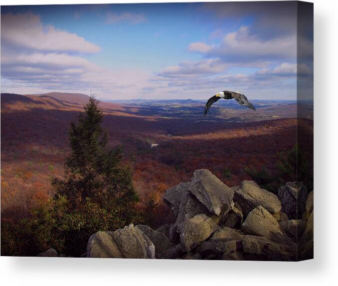 Hawk Mountain Canvas Print featuring the photograph Hawk Mountain Sanctuary W Eagle by David Dehner