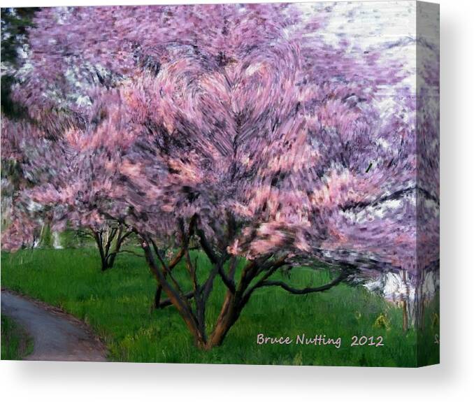 Tree Canvas Print featuring the painting Heartfelt Cherry Blossoms by Bruce Nutting