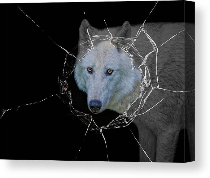 Little Red Riding Hood Canvas Print featuring the photograph Hellouu . . . Little Red Riding Hood by Joachim G Pinkawa