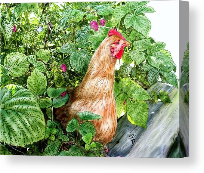 Chicken Canvas Print featuring the digital art Hiding In The Raspberry Bushes by Ric Darrell