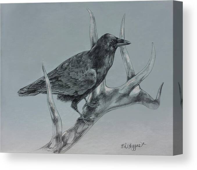 Elk Canvas Print featuring the drawing Hitchhiker Drawing by Derrick Higgins