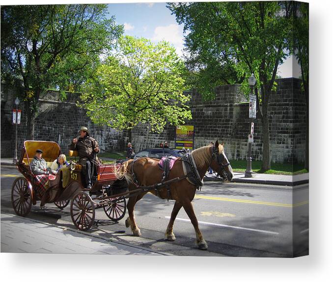 Horse Canvas Print featuring the photograph Horse and Buggy by Nicky Jameson