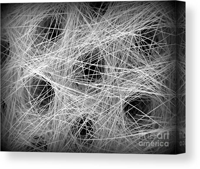 Horse Canvas Print featuring the photograph Horse Hair by Clare Bevan