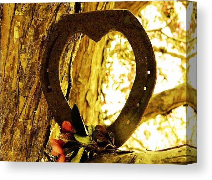 Horseshoe Canvas Print featuring the photograph Horseshoe Love by Michelle Frizzell-Thompson