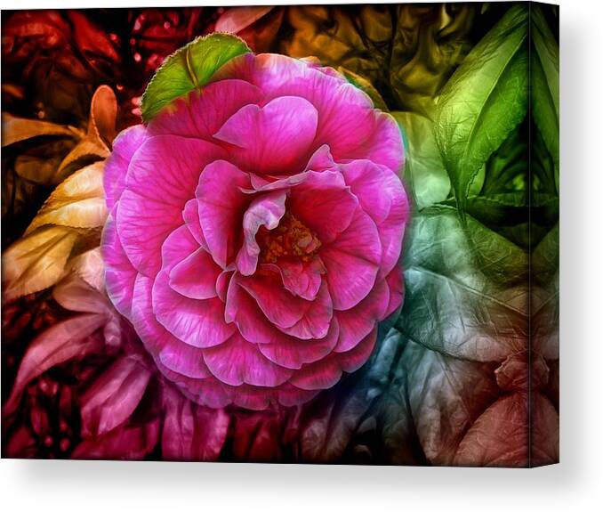 Rose Canvas Print featuring the photograph Hot and Silky Pink Rose by Lilia D