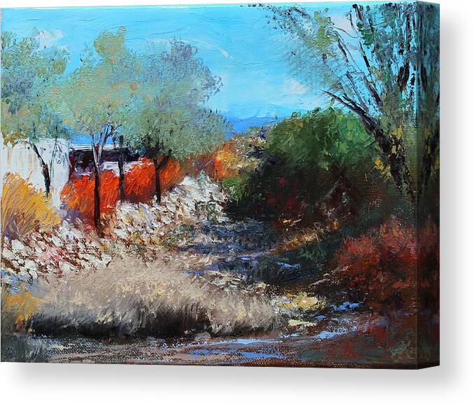 Tucson Canvas Print featuring the painting House Along The Wash by M Diane Bonaparte