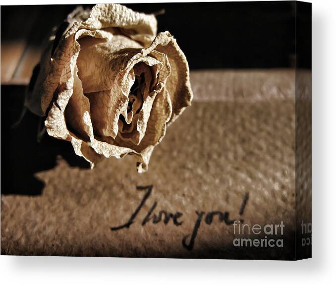 I Love You Letter Canvas Print featuring the photograph I love you letter by Daliana Pacuraru