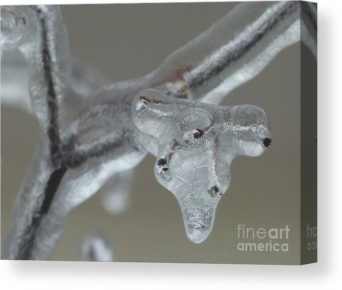 Ice Canvas Print featuring the photograph Ice Creature by Jane Ford