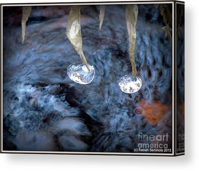 Ice Canvas Print featuring the photograph Ice Images by Rabiah Seminole