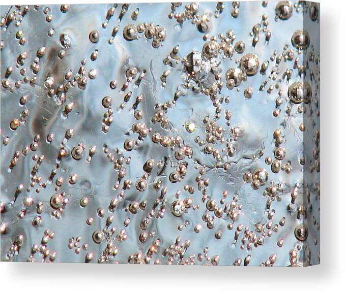 Ice Canvas Print featuring the photograph Ice Pearls by Angela Davies