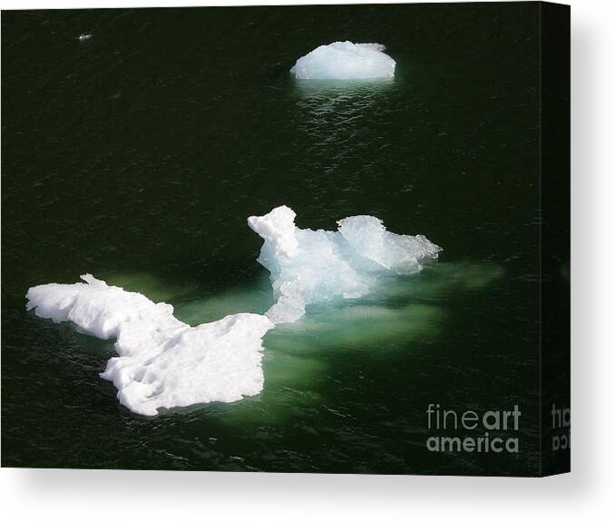 Ice Sculpture Canvas Print featuring the photograph Ice Sculpture in the Tracy Arm Fjordj by Bev Conover