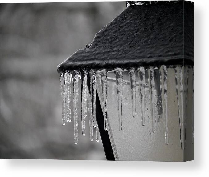 Icicle Canvas Print featuring the photograph Icicles - Lamp Post 2 by Richard Reeve