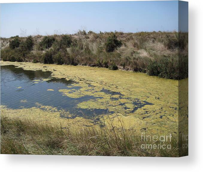 Marshes Canvas Print featuring the photograph Ile de Re - Marshes by HEVi FineArt