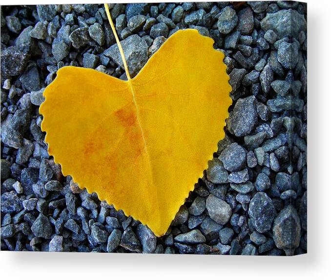 Love Canvas Print featuring the photograph In Love ... by Juergen Weiss