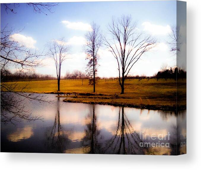 Landscape Canvas Print featuring the photograph In The Mood by Peggy Franz