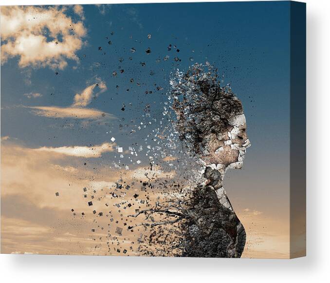 Creative Edit Canvas Print featuring the photograph In The Wind by Silvia Guillet