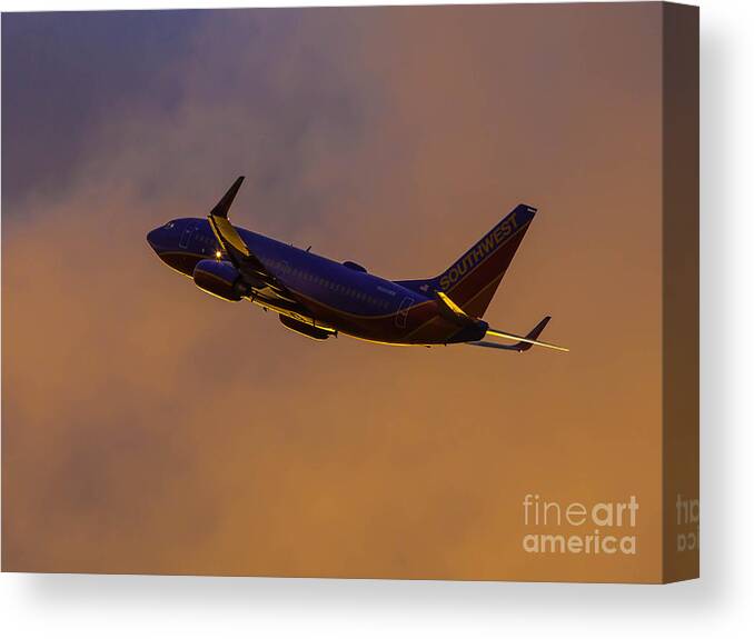 Aviation Canvas Print featuring the photograph In Their Element by Alex Esguerra