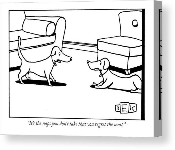 Animals Canvas Print featuring the drawing It's The Naps You Don't Take That You Regret by Bruce Eric Kaplan