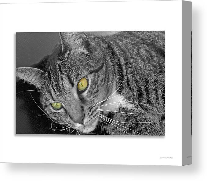 Animal Canvas Print featuring the photograph Jade - black and white by Frank Mari