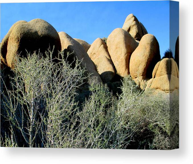 Jumbo Rocks Canvas Print featuring the photograph Jumbo Rocks At Joshua Tree 1 by Randall Weidner