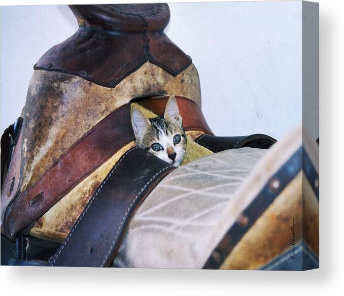Cat Canvas Print featuring the photograph Kitty in the Saddle by Kae Cheatham