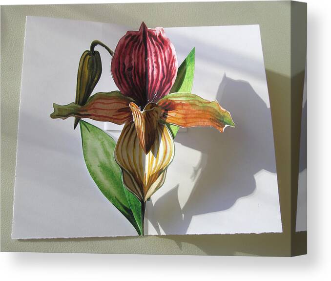 Pop Up Card Canvas Print featuring the mixed media Ladyslipper Pop Up Card by Alfred Ng
