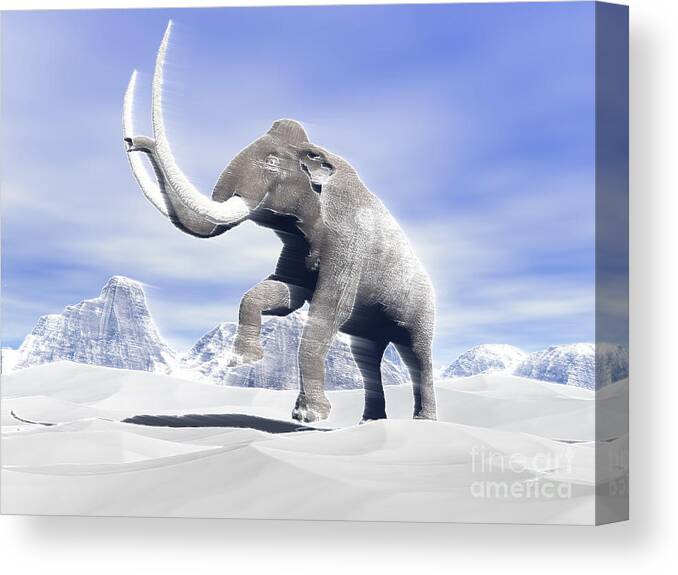 Three Dimensional Canvas Print featuring the digital art Large Mammoth Walking Slowly by Elena Duvernay