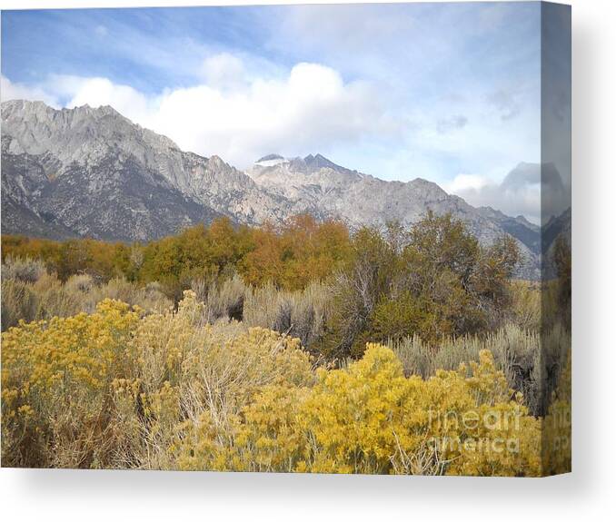 Sky Canvas Print featuring the photograph Layered Color by Marilyn Diaz