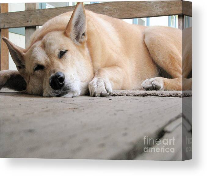 Dog Canvas Print featuring the photograph Lazin' On The Porch by Rory Siegel