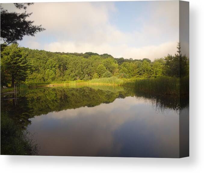Reflection Canvas Print featuring the photograph Lazy afternoon by Michael Porchik