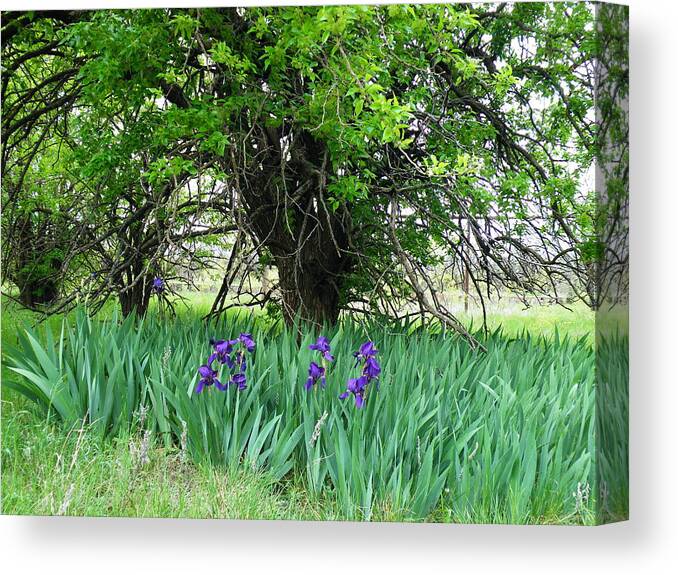 Iris Canvas Print featuring the photograph Life Endures by The GYPSY and Mad Hatter