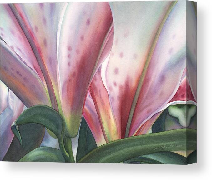 Lily Canvas Print featuring the painting Light Above by Sandy Haight