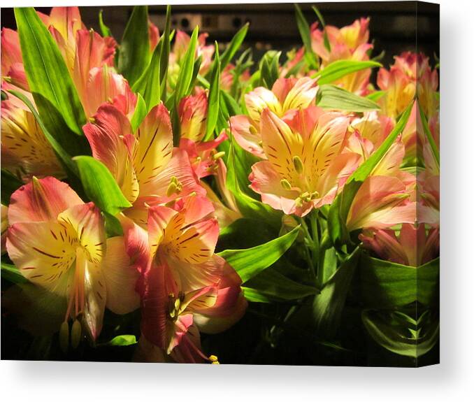 Lilies Canvas Print featuring the photograph Lilies by Rosita Larsson