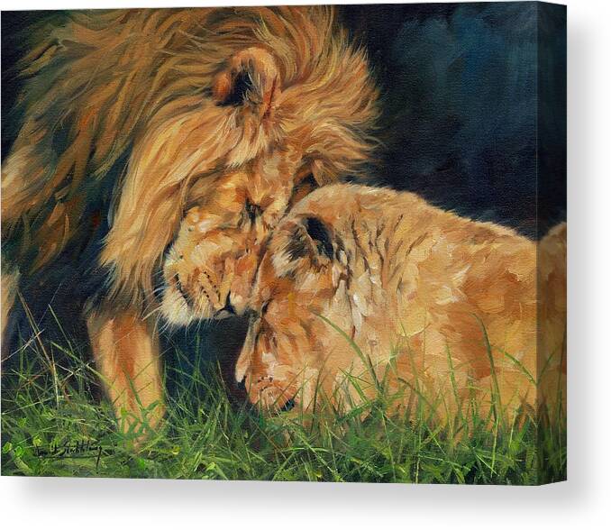 Lion Canvas Print featuring the painting Lion Love by David Stribbling