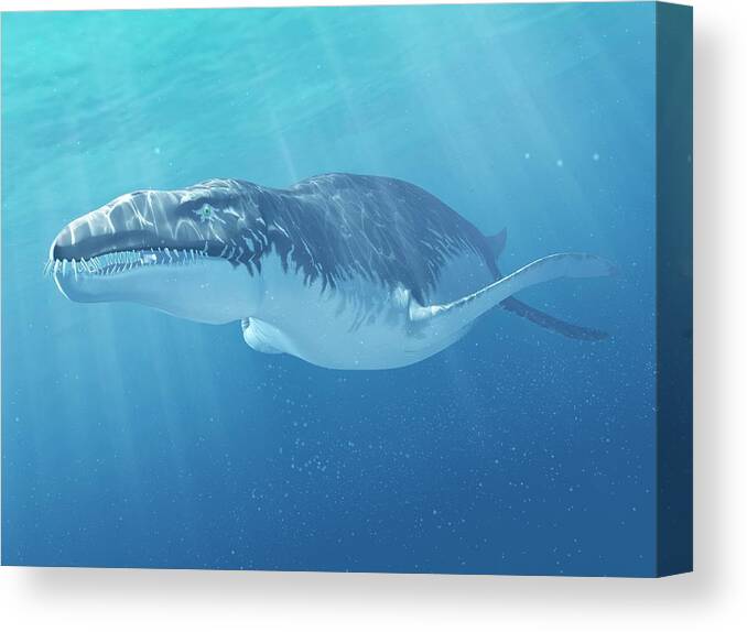 Prehistoric Era Canvas Print featuring the digital art Liopleurodon Marine Reptile, Artwork by Sciepro